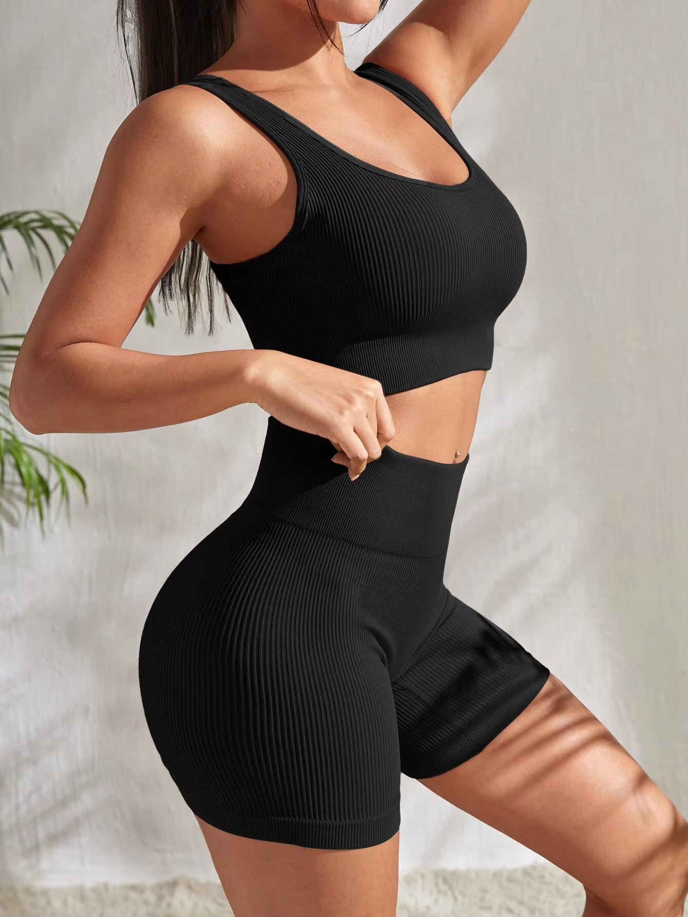 Seamless Ribbed Yoga Sets Workout Sets for Women 2 Pieces Gym Suits Ri