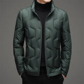 Winter Thin Stand-up Collar Down Jacket Coat shopluxelook.store