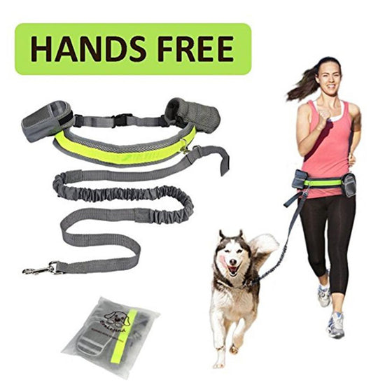 Hands Free Dog Leash-shopluxelook.store