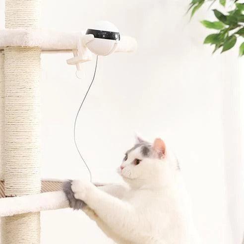 electronic motion cat toy-Pet Cat Toy Electronic Motion Cat Toy Interactive-shopluxelook.store