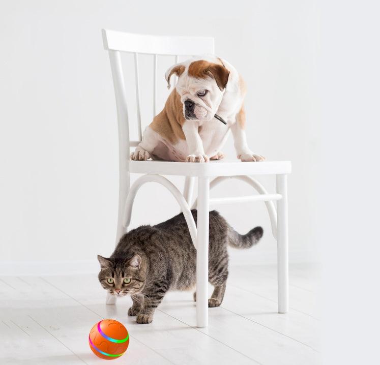 wicked ball toy-Pet New Cat Wicked Ball Toy Intelligent Ball USB Cat Toys Self Rotating Ball Automatic Rotation Ball-shopluxelook.store