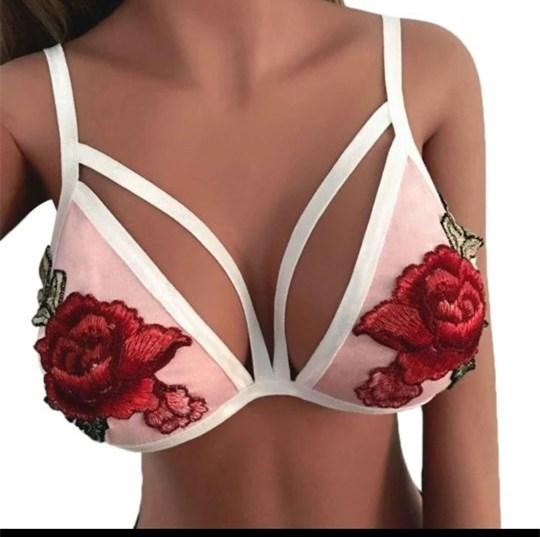 Rose embroidery lace bra set-Rose embroidery lace bra set-shopluxelook.store