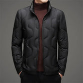 Winter Thin Stand-up Collar Down Jacket Coat shopluxelook.store